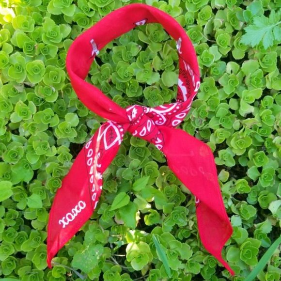 Embroidered Bandana Scarf - Picture 3 of 3